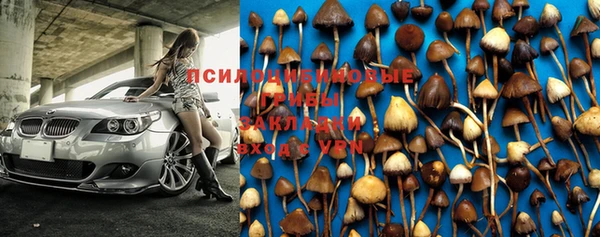 мдпв Наволоки