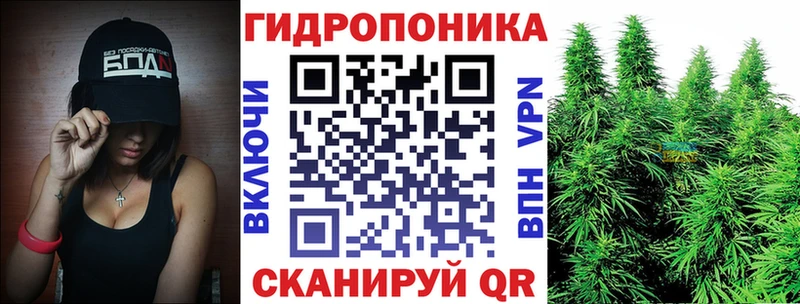 Купить  Назарово  Канабис VHQ 